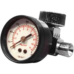 Air Regulator w/ Gauge